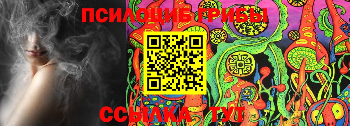 Галлюциногенные грибы Psilocybe Курганинск