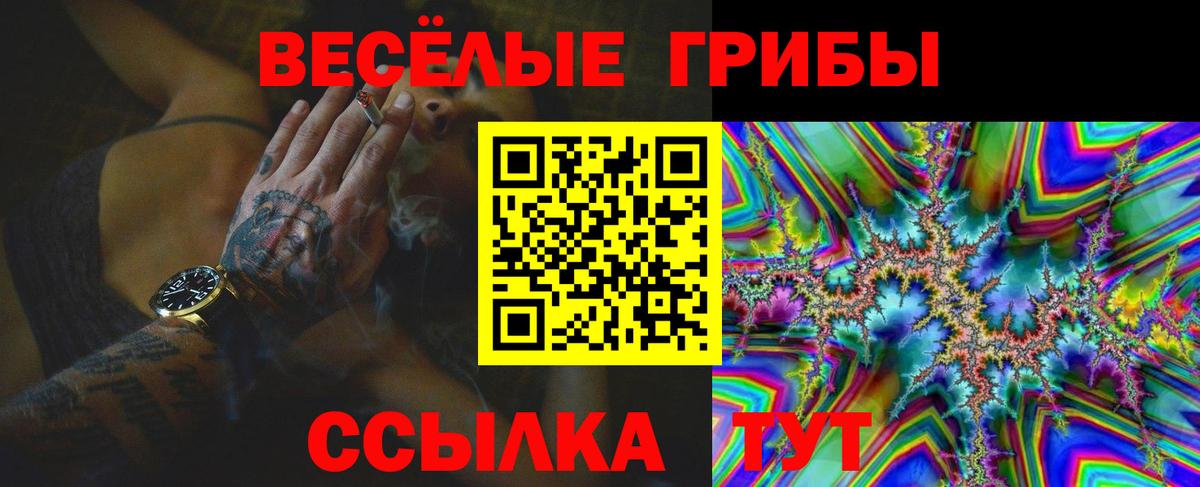 Курганинск  Псилоцибиновые грибы ЛСД  Вход с VPN 