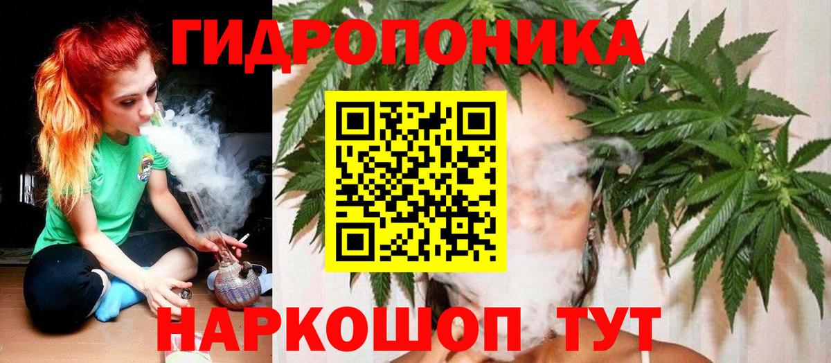 Бошки марихуана сатива  Каннабис VHQ  Вход с VPN  Курганинск 